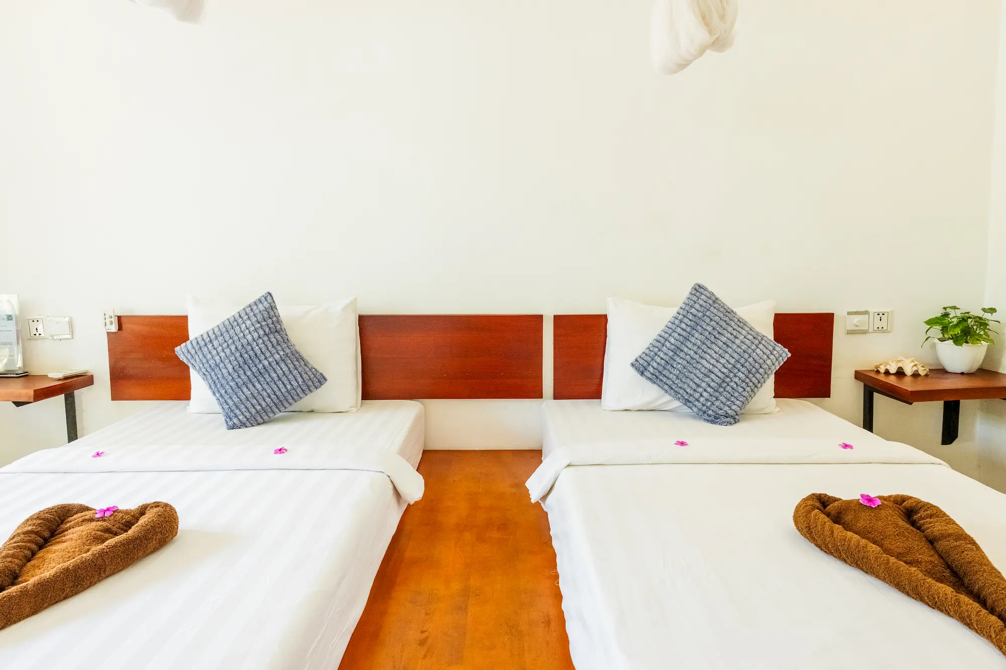 Twin Room with Terrace - Image 2